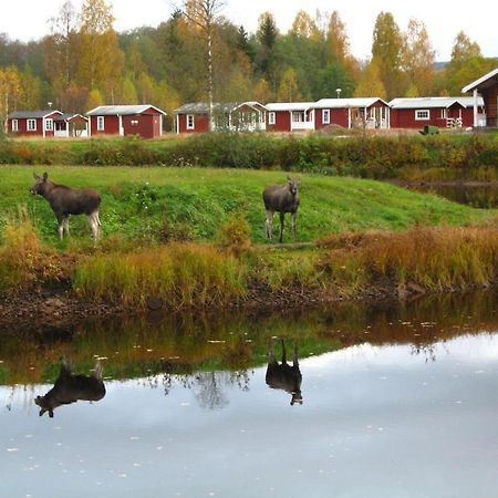 Klaraelvens Camping Stöllet Chambre photo